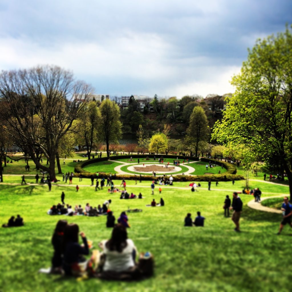 Toronto High park