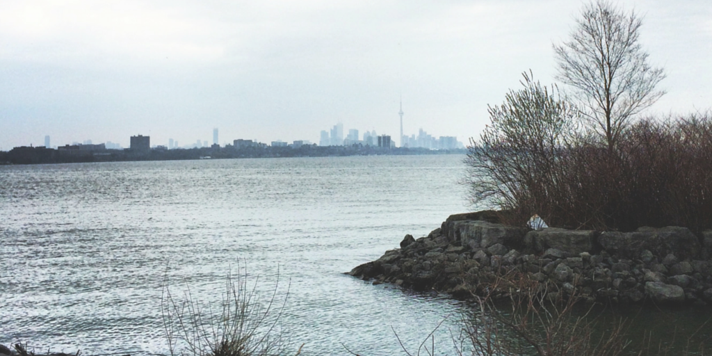 Toronto Waterfront Run