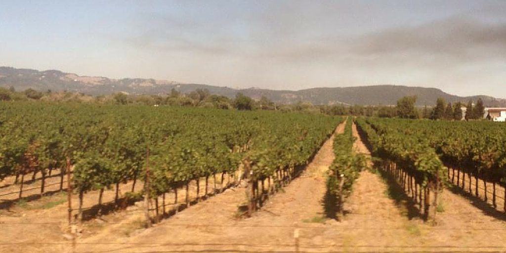 Winery California