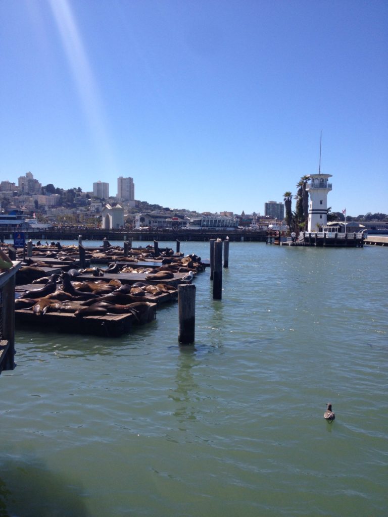 San Fran Piers