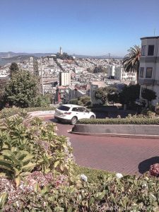 where to stop on pacific highway one