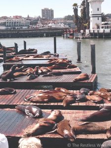 where to stop on pacific highway one