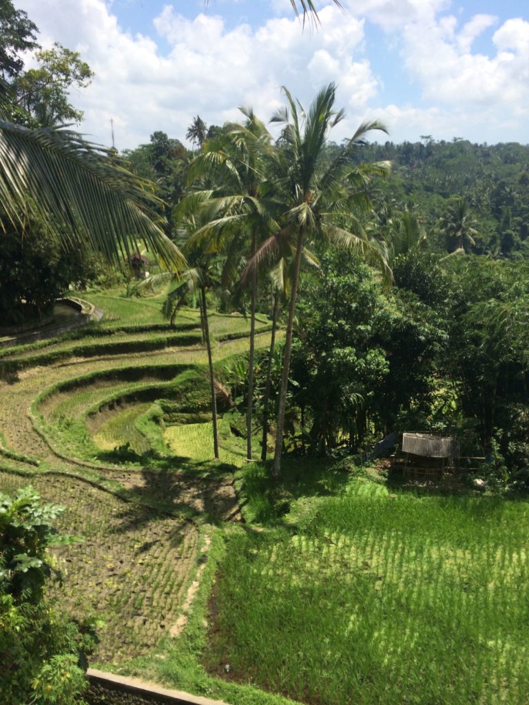 Bali Indonesia