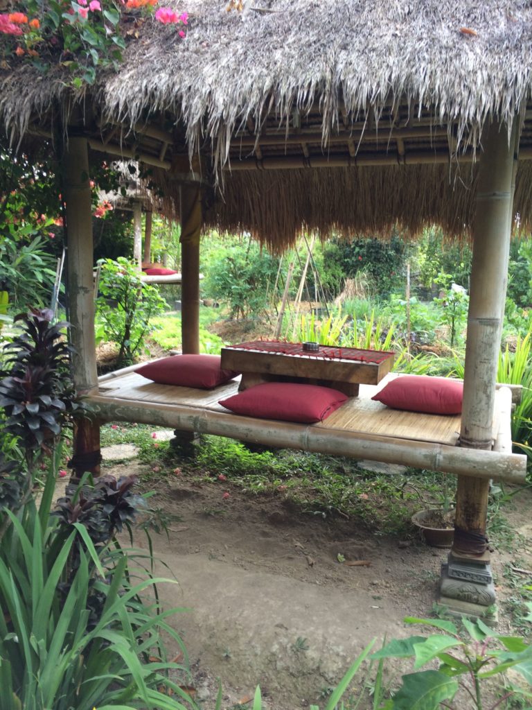 Things to do in Bali Sari Organik