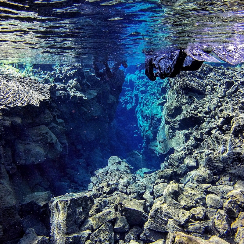 silfra snorkelling