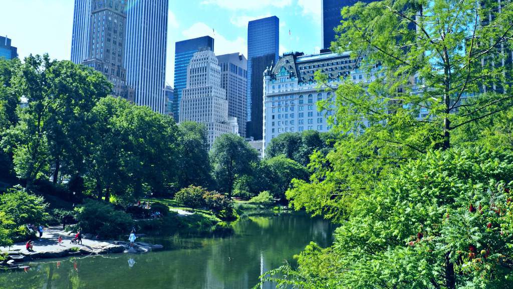 central park new york city