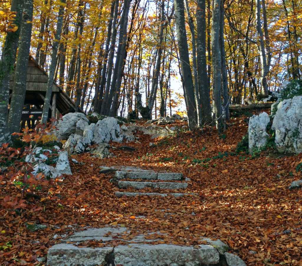 croatian cities plitvice