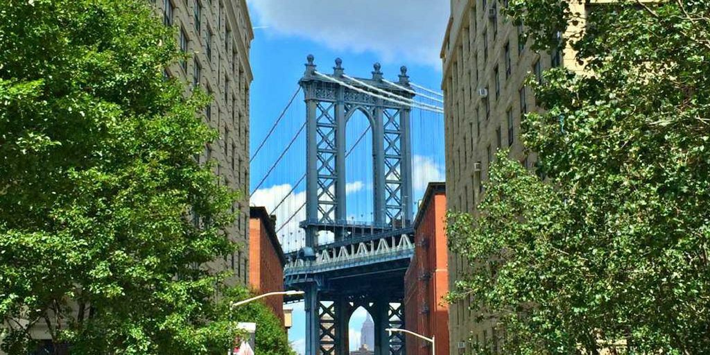 new york library collection