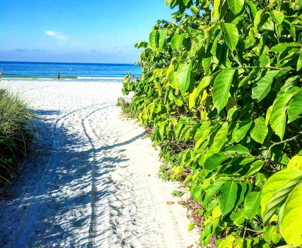 4 Cities In The Sunshine State Not To Miss