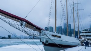 8 countries united states chicaago