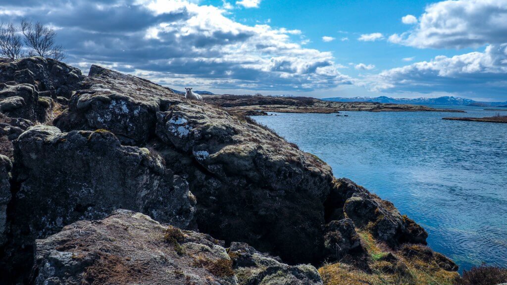 8 countries iceland