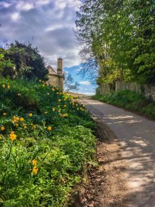 day trips from London cotswolds