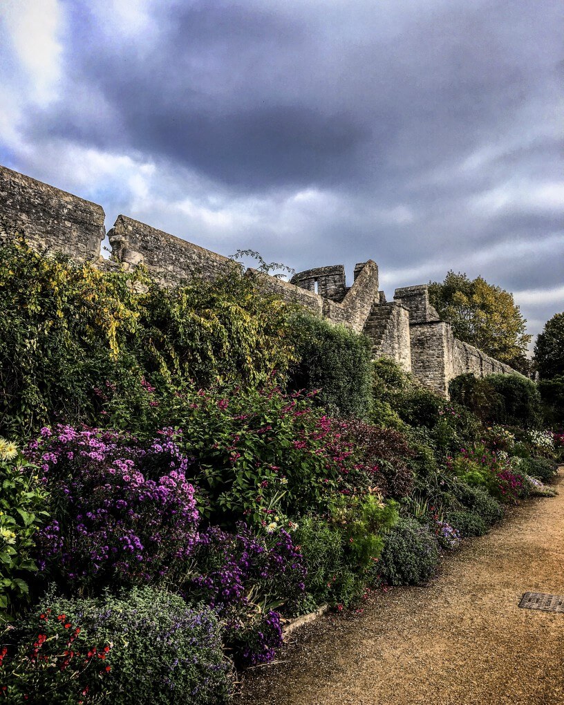 botanitcal gardens oxford