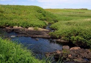 Canadian World UNESCO Heritage Sites