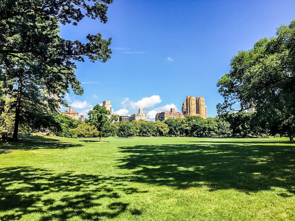 day in central park