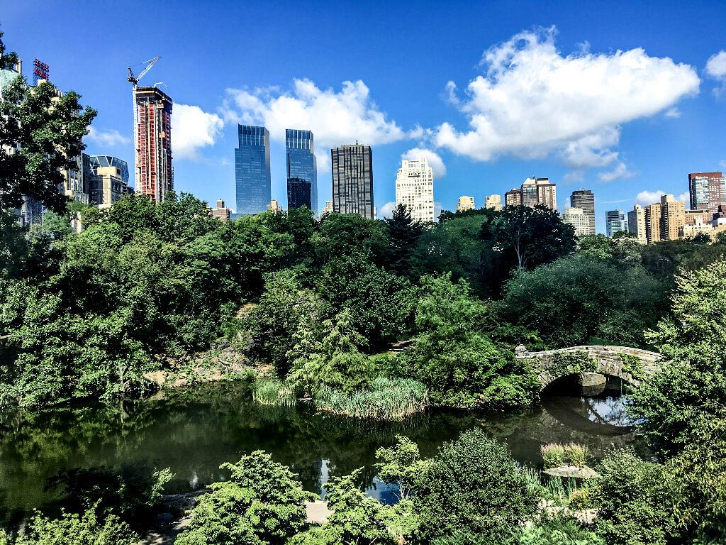 day in central park