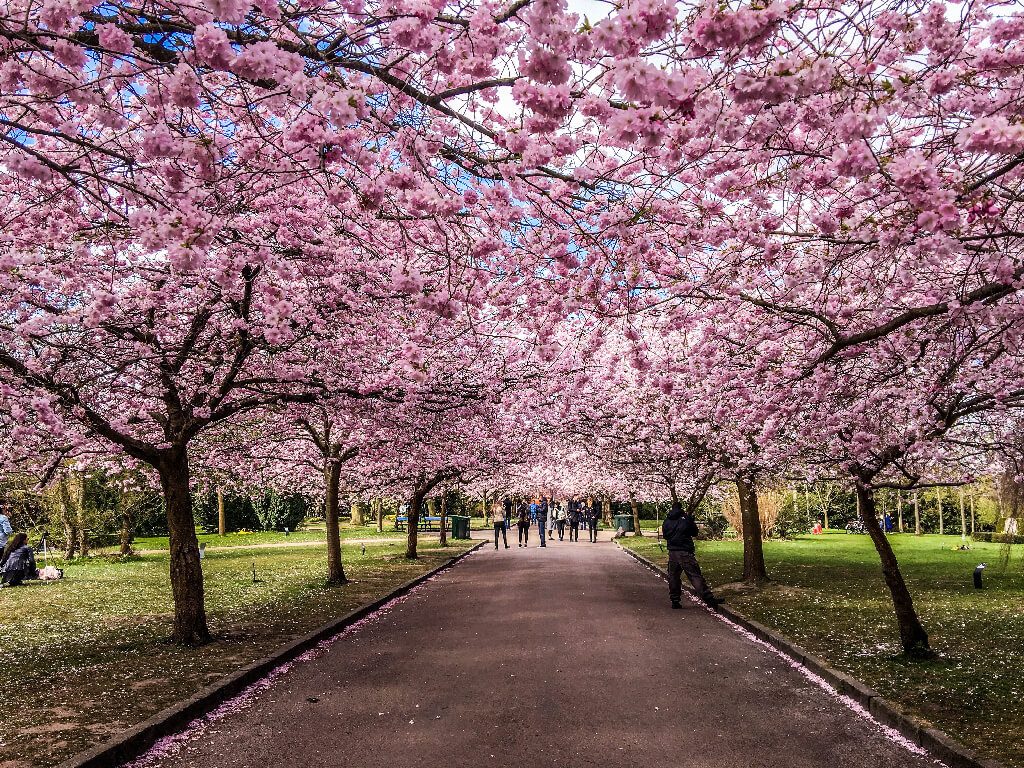 how to spend a weekend copenhagen