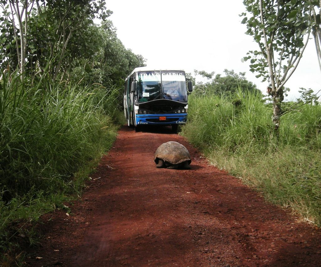 galapagos islands