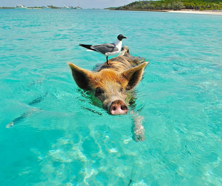 Paradise Island, Bahamas