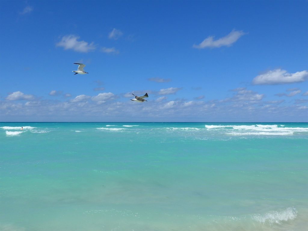 atlantis resort bahamas