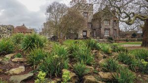 photos of canterbury