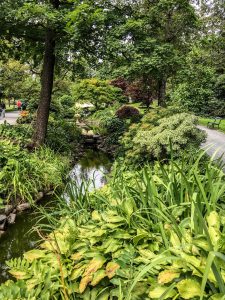 public gardens halifax
