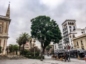 photos of seville