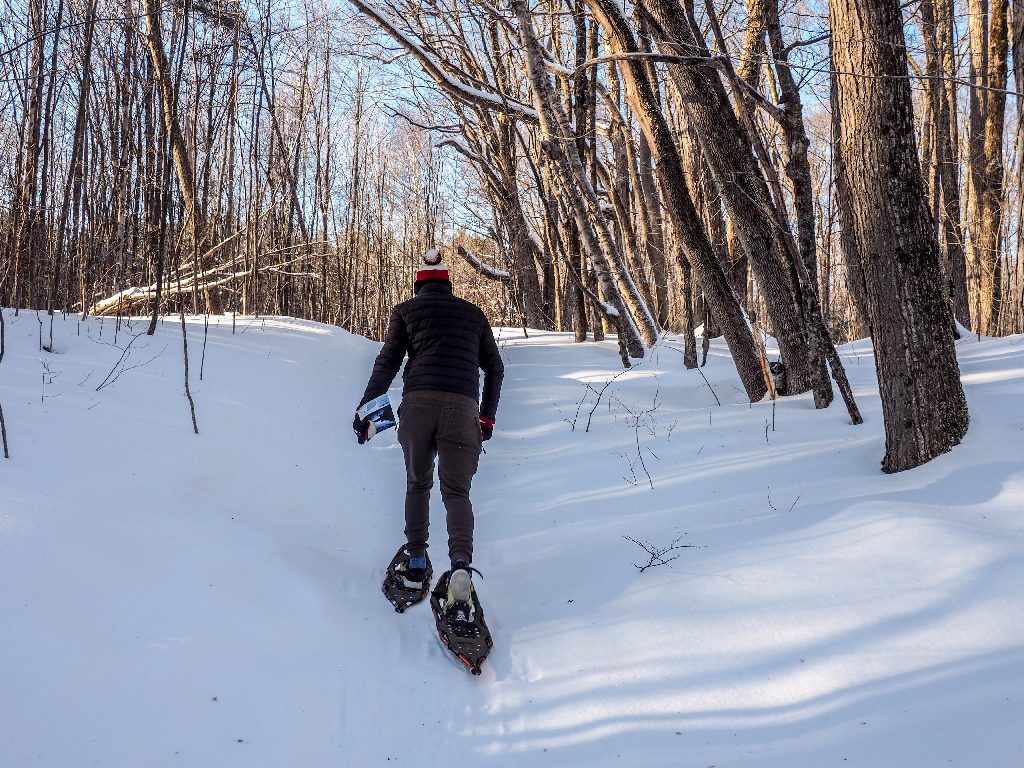 snowshoeing ontario shaw woods