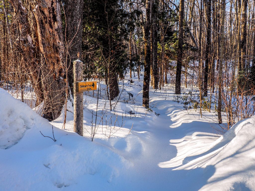 shaw woods ontario highlands