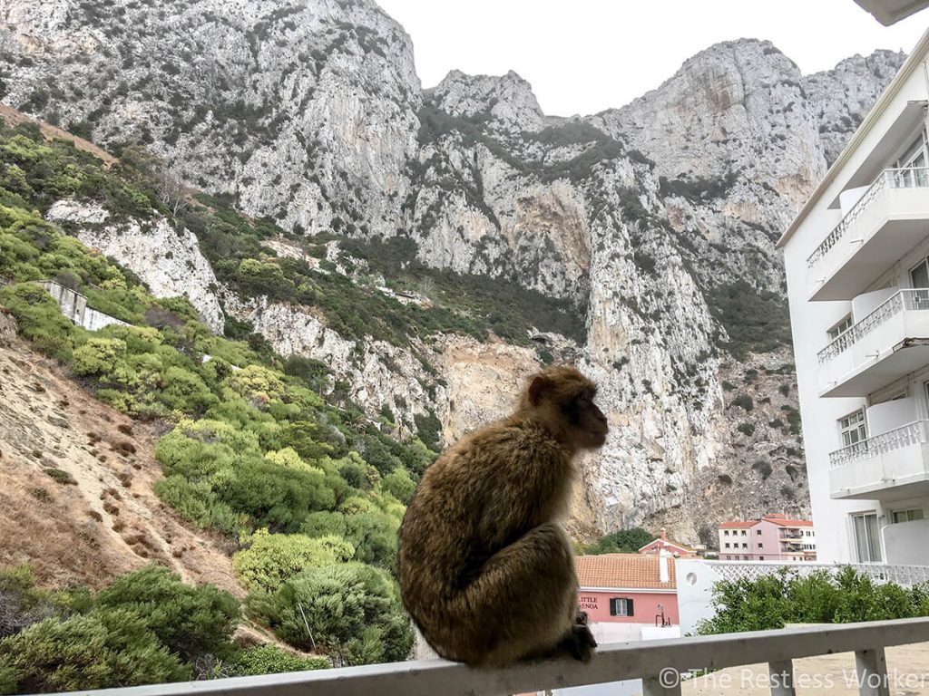 Photos of Gibraltar