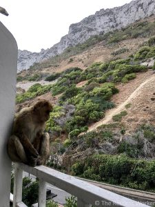 Photos of Gibraltar