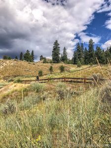 Kelowna to Vancouver