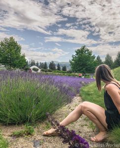 Kelowna to Vancouver