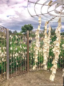 Kelowna to Vancouver