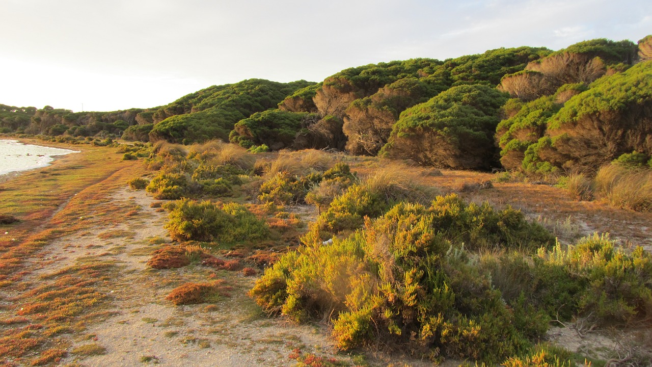 Best hikes in Australia