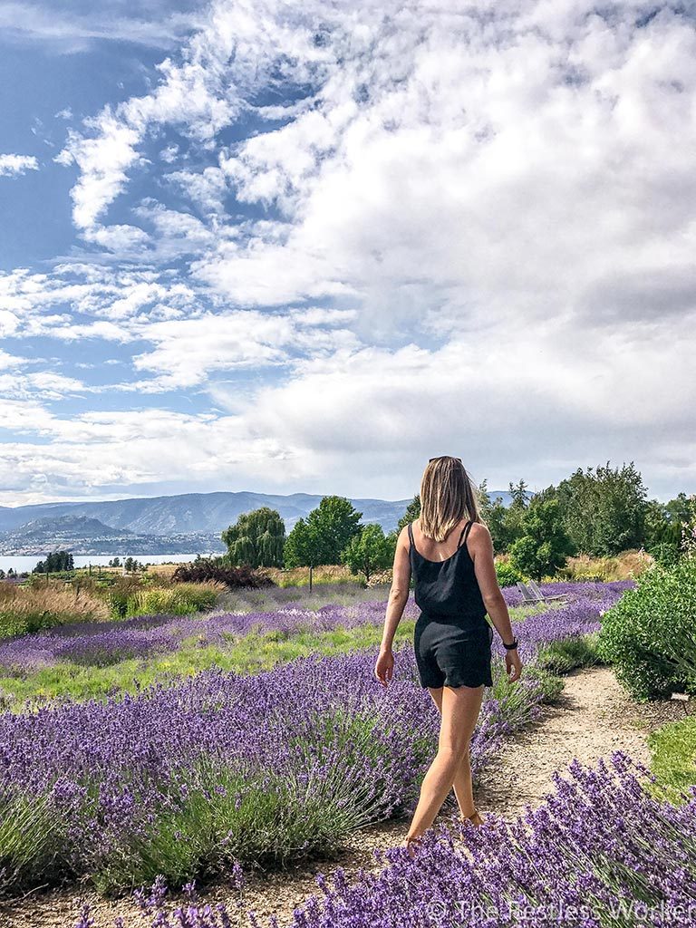 24 hours in Kelowna