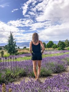 24 hours in Kelowna