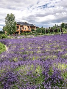 24 hours in Kelowna