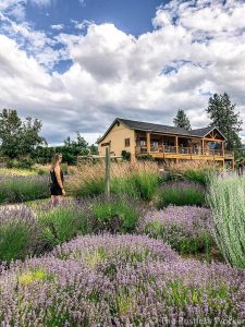 24 hours in Kelowna