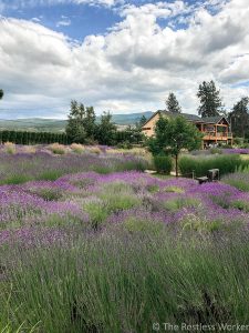 24 hours in Kelowna
