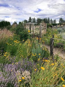 24 hours in Kelowna