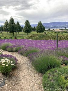 24 hours in Kelowna