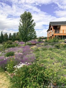 24 hours in Kelowna