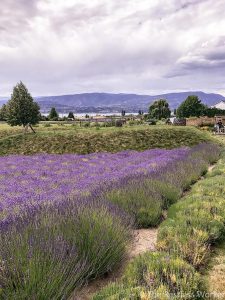 24 hours in Kelowna