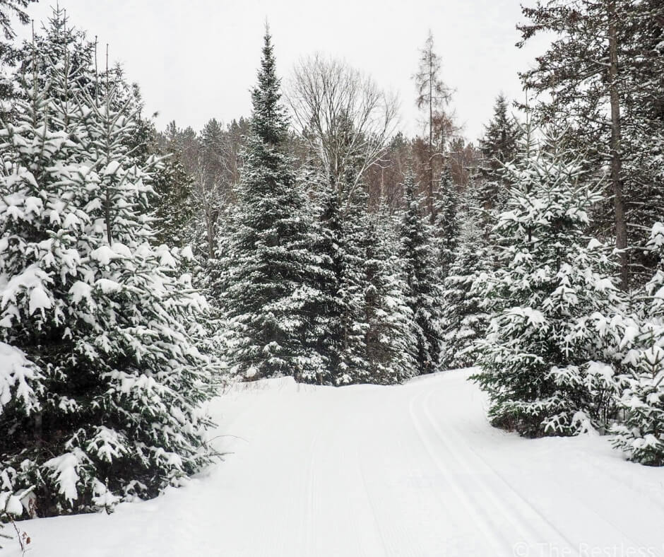 winter in Ontario