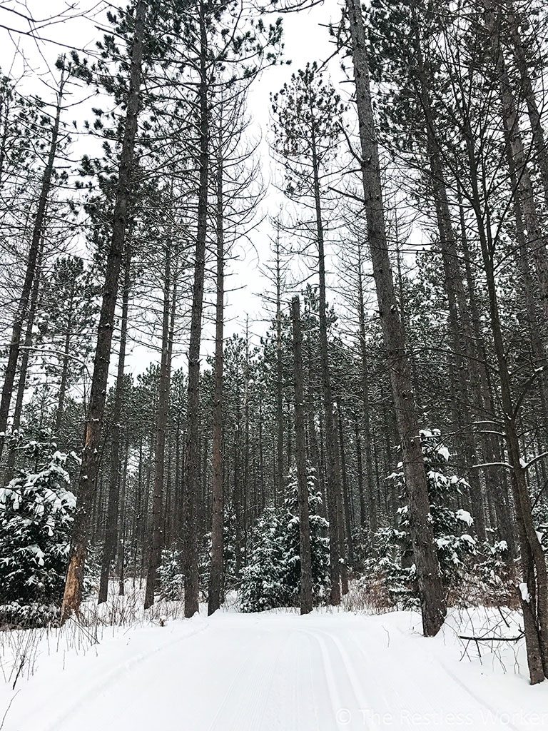 winter in Ontario