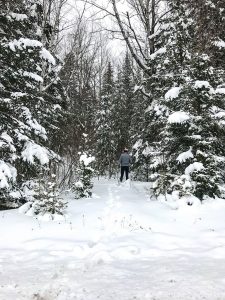 winter in Ontario
