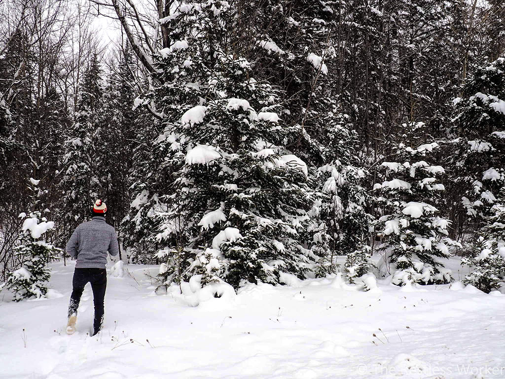 winter in Ontario