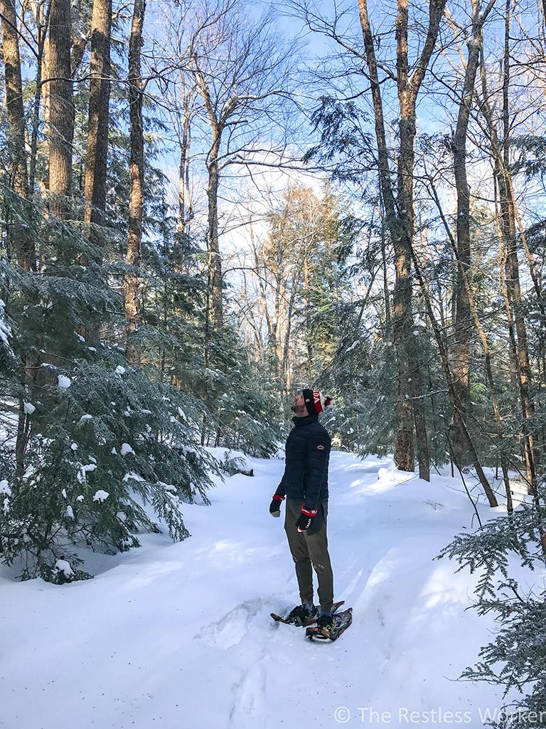 winter in Ontario