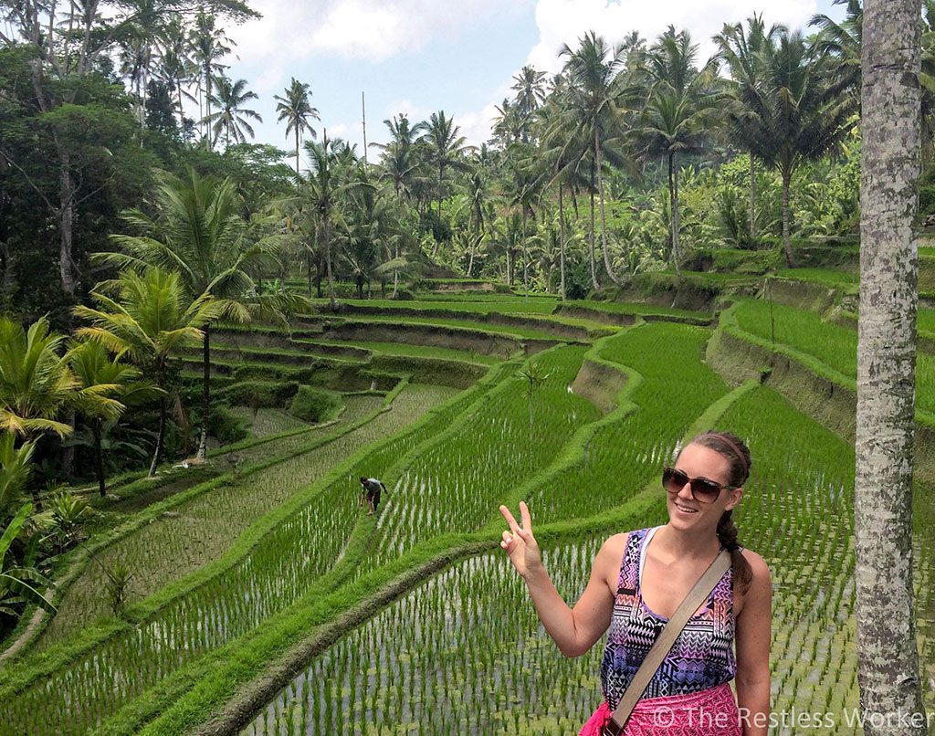 Rice fields in Bali Indonesia